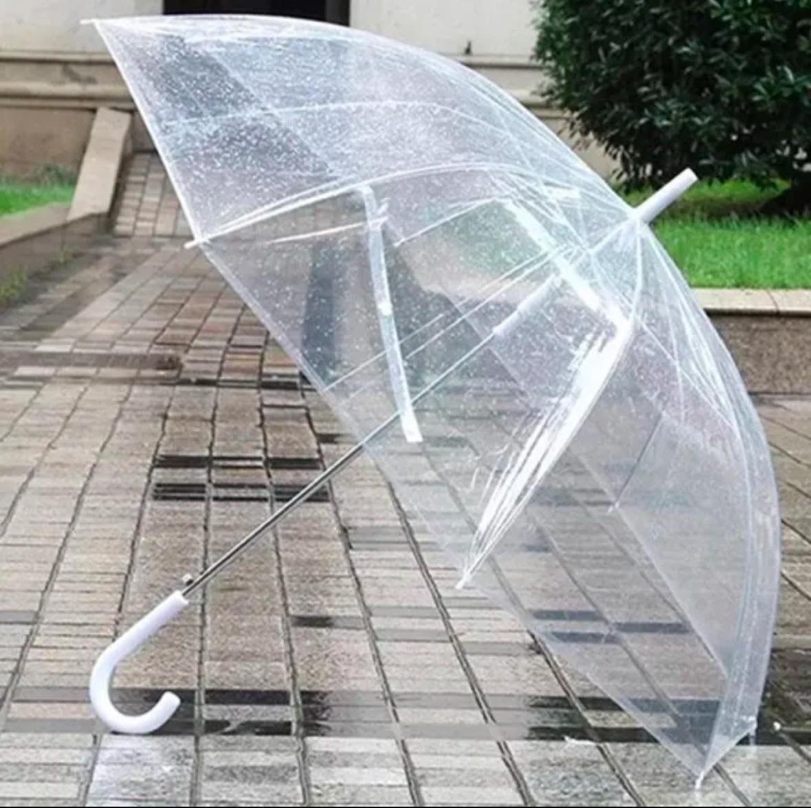 Large Transparent Umbrella